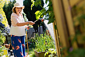 Active senior woman gardening, watering plants