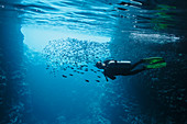 Woman scuba diving underwater among school of fish