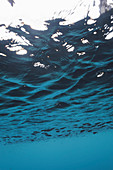 Underwater tranquil blue ocean water