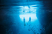 Couple snorkelling underwater among fish