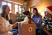 Happy family with dog in Christmas gift box