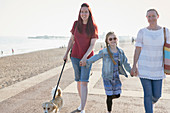 Lesbian couple with daughter and dog walking