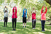 Active seniors exercising, practicing yoga in park