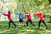 Active senior friends practicing tai chi in park