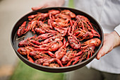 Chef holding tray of fresh crawfish, USA