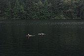 Couple swimming in lake