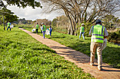 Volunteers cleaning up litter in park