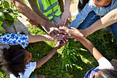 Volunteers joining hands, planting trees in park