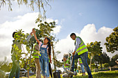 Kid volunteers high-fiving, planting trees in park