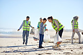 Volunteers cleaning up litter