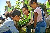 Woman and children volunteers planting herbs in park