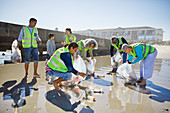 Volunteers cleaning up litter on sunny, wet sand beach
