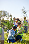 Family volunteers planting tree in park