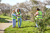 Female volunteers planting tree and plants in park