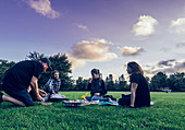 Friends enjoying picnic in park