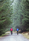 Couple mountain biking in woods