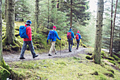 Family hiking in woods