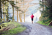 Man jogging on trail in woods
