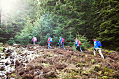 Friends hiking in woods