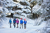 Family hiking in snowy woods