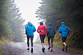 Family jogging in rainy woods