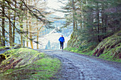 Senior man jogging in woods