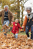 Grandparents and granddaughter kicking autumn leaves