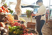 Woman working, arranging produce at farmer's market