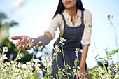 Woman gardening, touching white flowers in sunny garden
