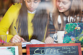 Young female college students studying in cafe