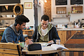 Young male college students studying in cafe