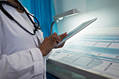 Close up doctor using digital tablet in hospital room