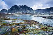 View mountains and inlet Landraget Lofoten Norway