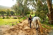 Woman leading horse toward sunny rural paddock