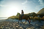 Young woman horseback riding on sunny tranquil beach