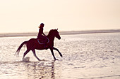 Young woman galloping on horseback in ocean surf