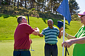 Male golfers shaking hands at pin on sunny golf course