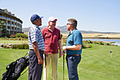 Happy male golfer friends talking on sunny golf course