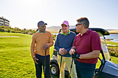 Mature male golfers talking at sunny golf cart