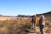 Senior friends on safari watching zebras in distance