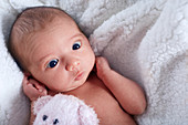 Close up cute newborn baby