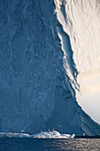 Birds below iceberg Greenland