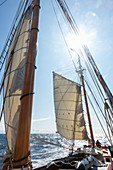 Sailboat sails and mast on ocean Greenland
