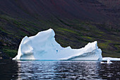 Melting iceberg in Disko Bay West Greenland