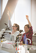 Girl students raising arms behind microscopes in classroom