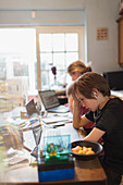 Boy homeschooling at laptop in dining room