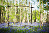 Wood stick frame over idyllic bluebell flowers in woods