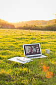 Colleagues video chatting on laptop screen in sunny grass