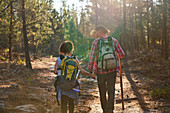 Young couple hiking with backpacks in summer woods