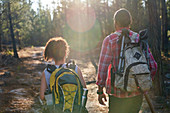 Young couple with backpacks hiking in summer woods